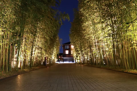 静かに更けゆく秋の夕暮れ、東山の閑静な竹林の先にひっそり佇むのが今年の授賞式の舞台、フォーシーズンスホテル京都。


The stage of this year's award ceremony, 'Four Seasons Hotel Kyoto' is quietly standing at the end of the tall and slender bamboo forest enveloped in the silence of late autumn.